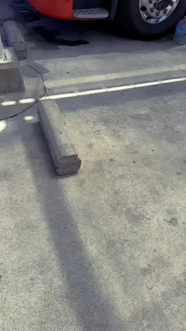 Y un día volvimos🙌🏻 dándole un poco de cariño🫶🏻 . . . . #viviendomisueño💯 #camionesargentinos🇦🇷🚛 #SCANIAr410😍 #camionerojoven💪 #TrCAPALBISALTA 