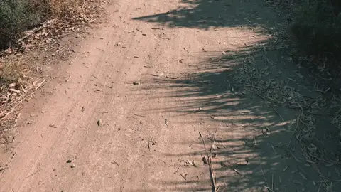 رأيك بـ عزازهَ ؟ #عزازه_الجياشي #محسن_الخياط #تصويري_احترافي_الاجواء👌🏻🕊😴 #كرم_السراي #المتابعين 