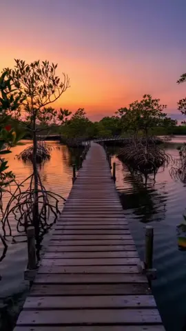 #احبكم_في_الله🤍 #🐦‍⬛مصر🇪🇬🐦‍⬛⚘️💐🌻🌷 #احزاني_لن_ولم_تنتهي 