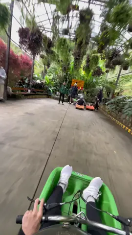 Cho nhà mình xem clip gốc tua nhanh nha, tiếng drift nghe két két đã luôn! càng đông càng vui #caonguyenhoadalat #dalat #mariokart #greenlineluge #boypho 