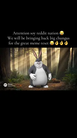 We are bringing big chungus back for the great meme reset bois 😂👌👌👌 #greatmemereset #bigchungus #dankmemes #reddit #soy 
