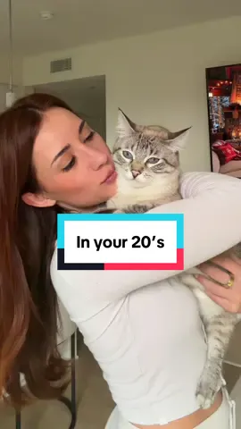 Story time on how we got Gigi: My mom was fostering cats at the time and one of her clients asked for help with a stray who had been living at their warehouse. The owners didn’t want to feed her anymore because she had an accident on some papers. My mom, being the angel she is, took her in and named her Catalina while trying to find a rescue to help. After a few weeks, Catalina started getting bigger and bigger and my mom realized she was pregnant. She gave birth to 6 kittens at my mom’s house. Five were tabbies, and the last one born, the only white one, was Gigi.  About 4 weeks later, Catalina became very sick. She developed mastitis, couldn’t nurse the babies and was eventually diagnosed with FIP. My mom had to bottle feed all the kittens around the clock. She even took them to work and fed them during her breaks and I would go help whenever I could. Because they didn’t have a mom, the kittens started suckling on each other’s bums for comfort and Gigi got sick and had blood in her stool. The vet told us she needed to be separated to prevent things from getting worse. I offered to take her home just to watch her but after one night with her, we knew she was meant to be ours. She’s easily the best decision we ever made.  Moral of the story: keep the cat 💞 #catmom #cutecats #catdistributionsystem 