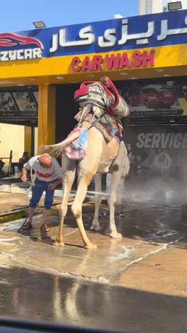 #sharmelsheikh #egypt🇪🇬 