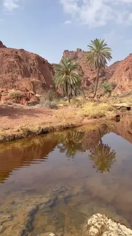 جبال اجاء حائل♥️⛰️🌿#تصويري📸اكسبلوور #حايل_حايلنا #الجميل#حائل_الاجمل #explore .