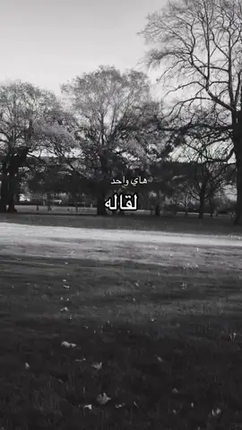 #الوائلي_الي_تحبه_يعيش_بكلبك #الشيخ_احمد_الوائلي_رحمه_الله #حسينينون #الوائلي_روح_المنبر_الحسيني #الوائلي_روح_المنبر 