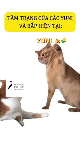 Kiếm tiền về cho mà đối xử với thằng nhỏ vậy đó 🙃Công ty à làm gì đó đi  #梓渝 #ziyu #Ziyu #xuhuong #viral 