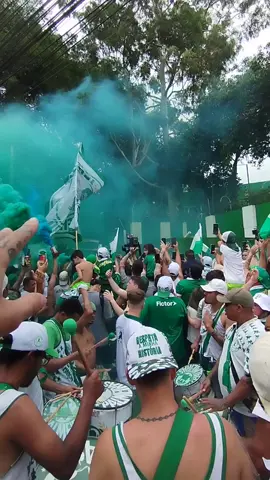 #palmeiras #manchaverde 
