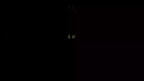 ISHQ-MAIN-LUT-GAYA🎧🖤 full sad song slowed reverb bassboosted 🔊 ft: RCR use your headphones  #useheadphones #sadvibes #slowedandreverb #nominice_005 #nomi_creative 