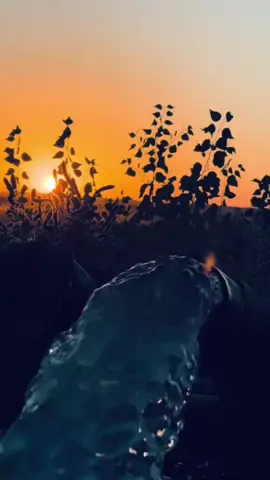 #عادنشر🔁 #لايك_متابعه_اكسبلور #هاشتاقات_تيك_توك_العرب #الايك_والفولو_والاكسلبورمتابعه