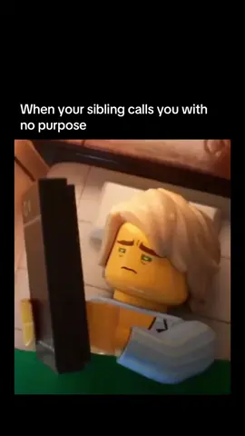 for real, Why😭 #memes #lego #funny #brainrots 