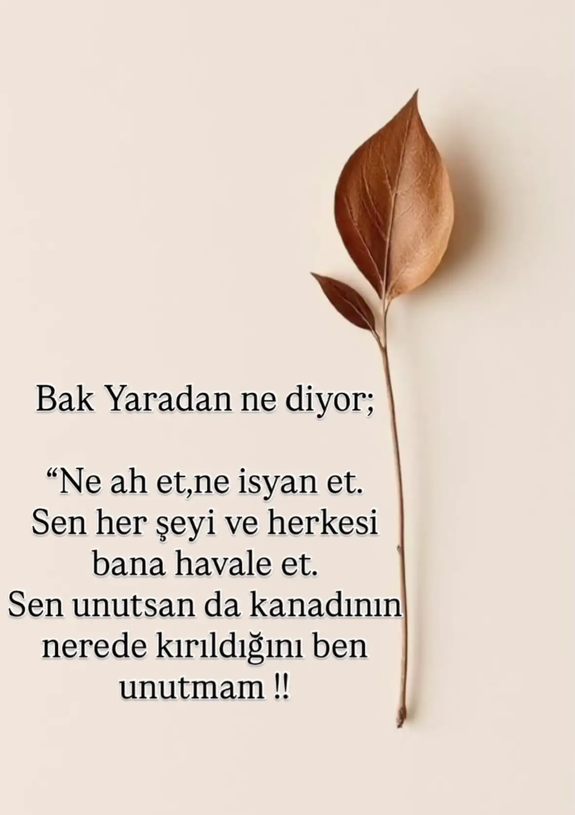 #tiktokviral #keşfet #keşfetteyizzz 