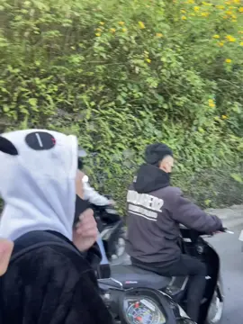 Có ai thấy đội báo nhà em không 😝 Có câu chánh ra cho cò đii ỉa cái 🤣#xuhuong #xuhuongtiktok #xhhhhhhhhhhhhhhhhhhhhhhhhhhhhh #becodiecxanh 