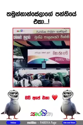 ඔව් අපේ පන්තියෙ එකා ❤️ #politics #meme #comedyvideo #virul #foryou #fyp #පරෙයියාpareiya #creatorsearchinsights 