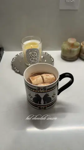 a warm and cozy treat ☕️🦢☁️ #hotchocolate #wellness #romanticizingwinter #cozyvibes #hotchocolaterecipe 