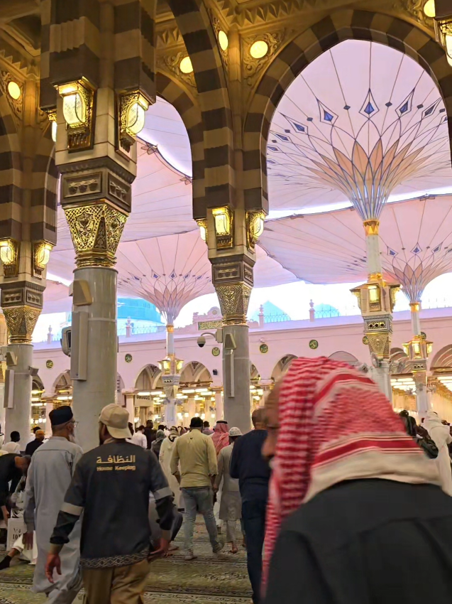 Mainoon shauq madina jawan da  #status video #islamic content #foryou #asthetic video #trending naat video 