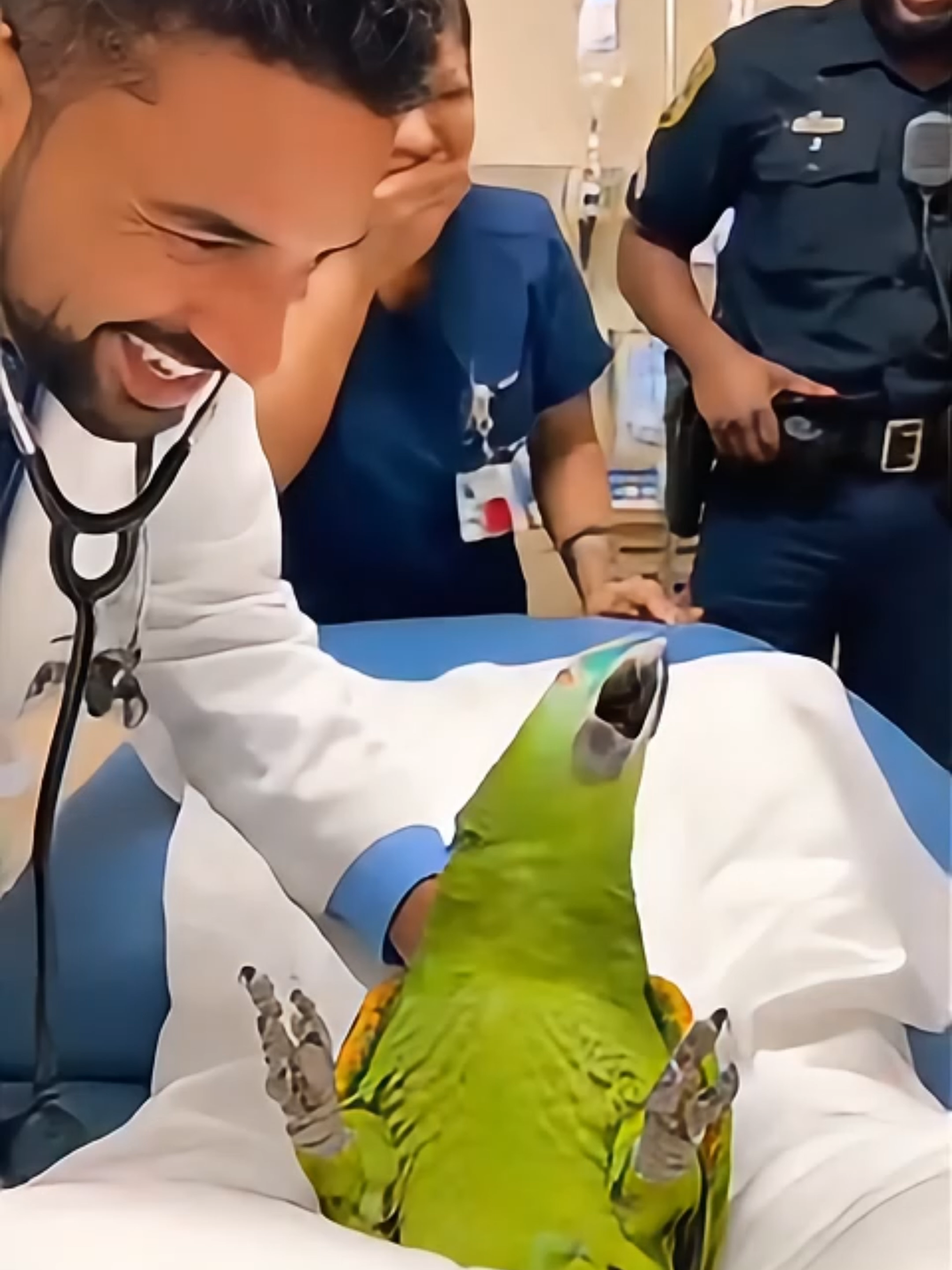 Parrot thought he was in an ORGAN HEIST 💀😭 “TAKE MY FEATHERS NOT MY PARTS!” #realshocklens #SavageParrot #ERComedy #FYP #BirdTok #ViralVideo