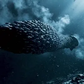 রাতে বাচ্চাদের খেলা পুতুল দ্বারা যা হতে পারে।