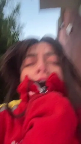 buen dia tiktok #hablando #random #perro #humor #shell 