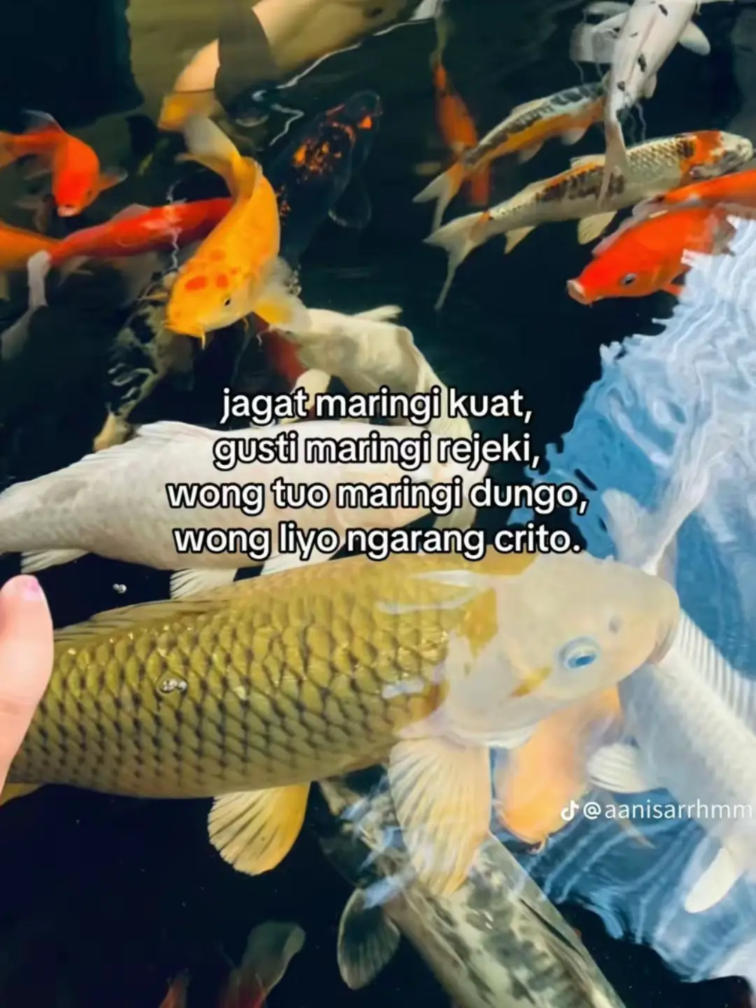 #fyp #lewatberanda #trend 