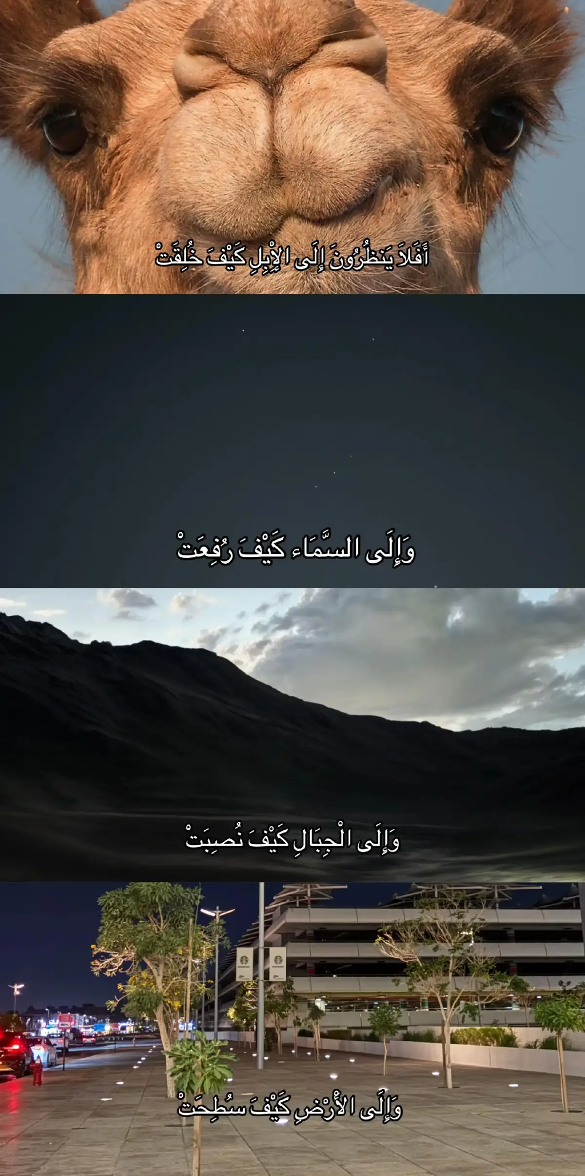 صلو على رسول وانشرها لعلها اخر صلاه #استغفرالله_العظيم_واتوب_اليه #قران_كريم #صلوا_على_رسول_الله #صوره 