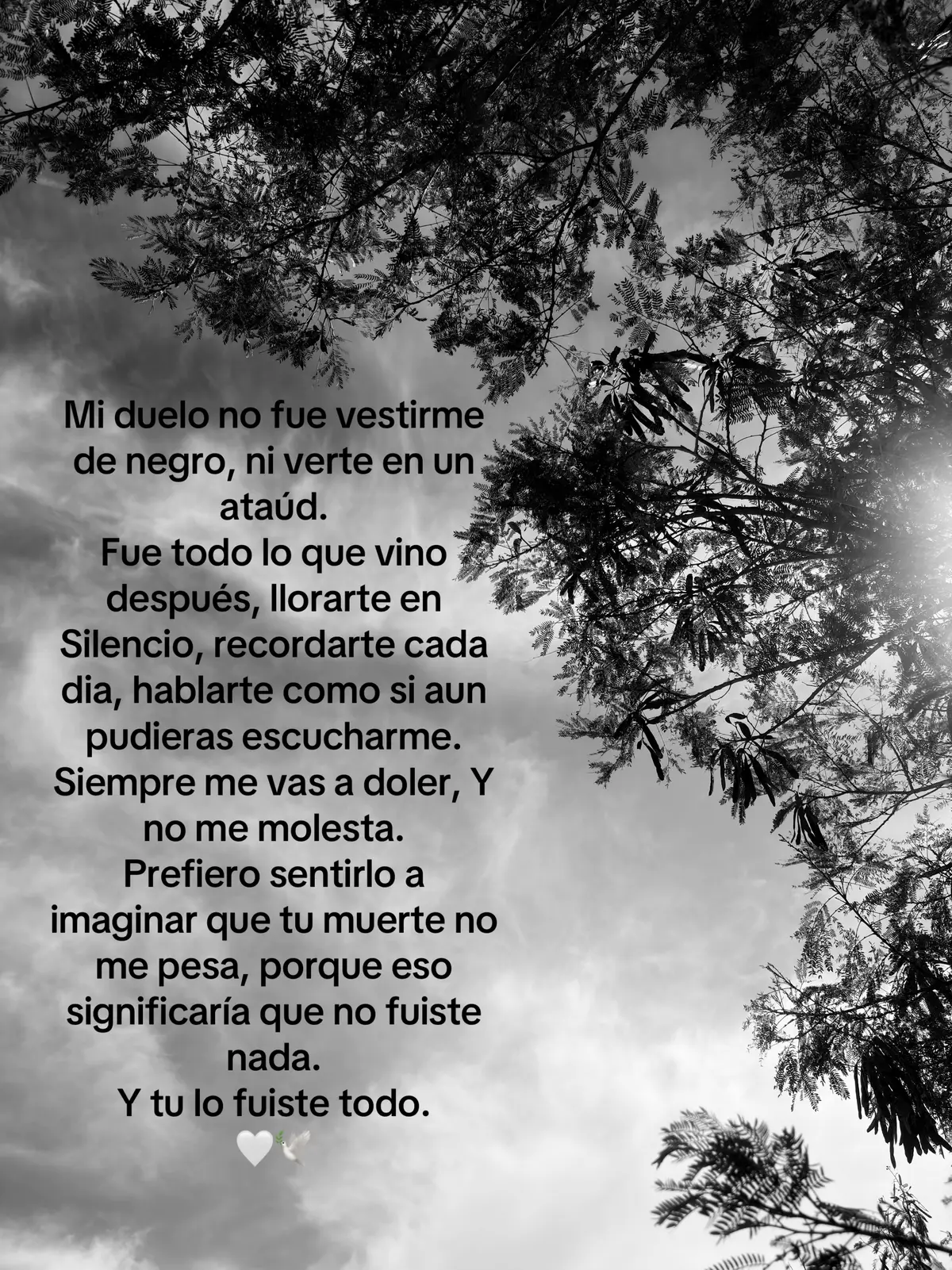 #papá #teextrañopapá 