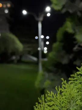 Fon✨ #CapCut #nature #fon 