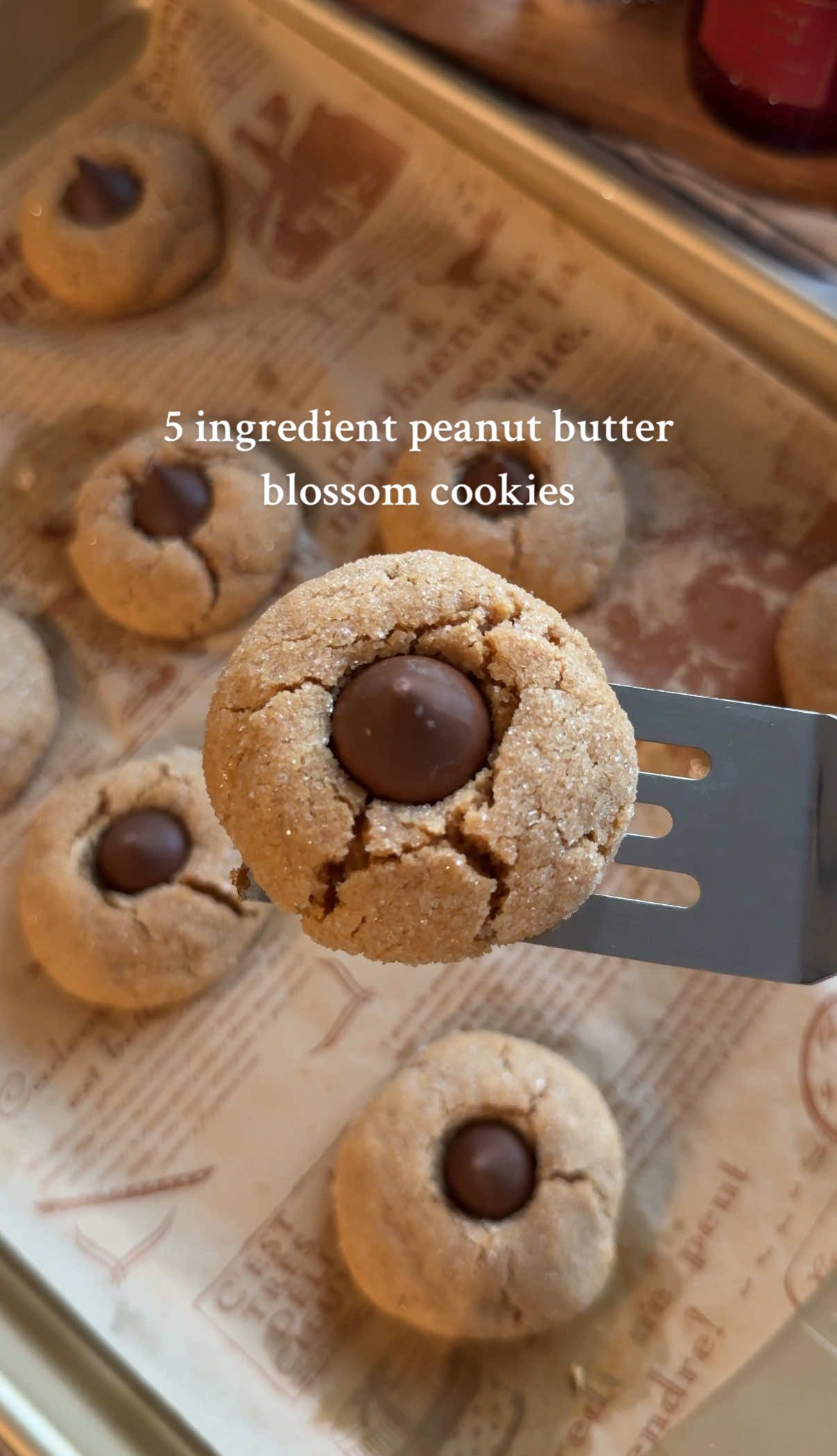 5 ingredient peanut butter blossom Christmas cookies ✨❤️🎄 The easiest and tastiest cookies you should make this holiday season!  The full recipe in down below ⬇️  Ingredients: 1 cup creamy peanut butter  1 cup granulated sugar for the dough  1/2 cup granulated sugar for rolling  1 large egg  1 tsp vanilla extract  9-10 chocolate Hershey kisses  Instructions: 1. Mix together the dough. Combine the peanut butter, 1 cup granulated sugar, 1 egg, and 1 tsp vanilla extract in a medium mixing bowl. Stir until smooth and combined. Cover the dough in plastic wrap and place in the fridge for 1-2 hours to firm up. 2. Unwrap 9-10 chocolate Hershey kisses. This recipe makes about 9-10 cookies. Set them aside.  3. Once the dough has chilled, preheat the oven to 350° F. Line a baking sheet with parchment paper.  4. Scoop the chilled dough into 2 tablespoons dough balls. Roll the dough balls in the 1/2 cup of granulated sugar. Place on a baking sheet. Bake at 350° for 9-11 minutes. Immediately after removing from the oven press the kisses into the middle of the cookies. Allow them to cool for 10-15 minutes. Enjoy! #bakingtiktok  #christmascookies  #peanutbutterblossoms  #easybaking  #bakingrecipe 