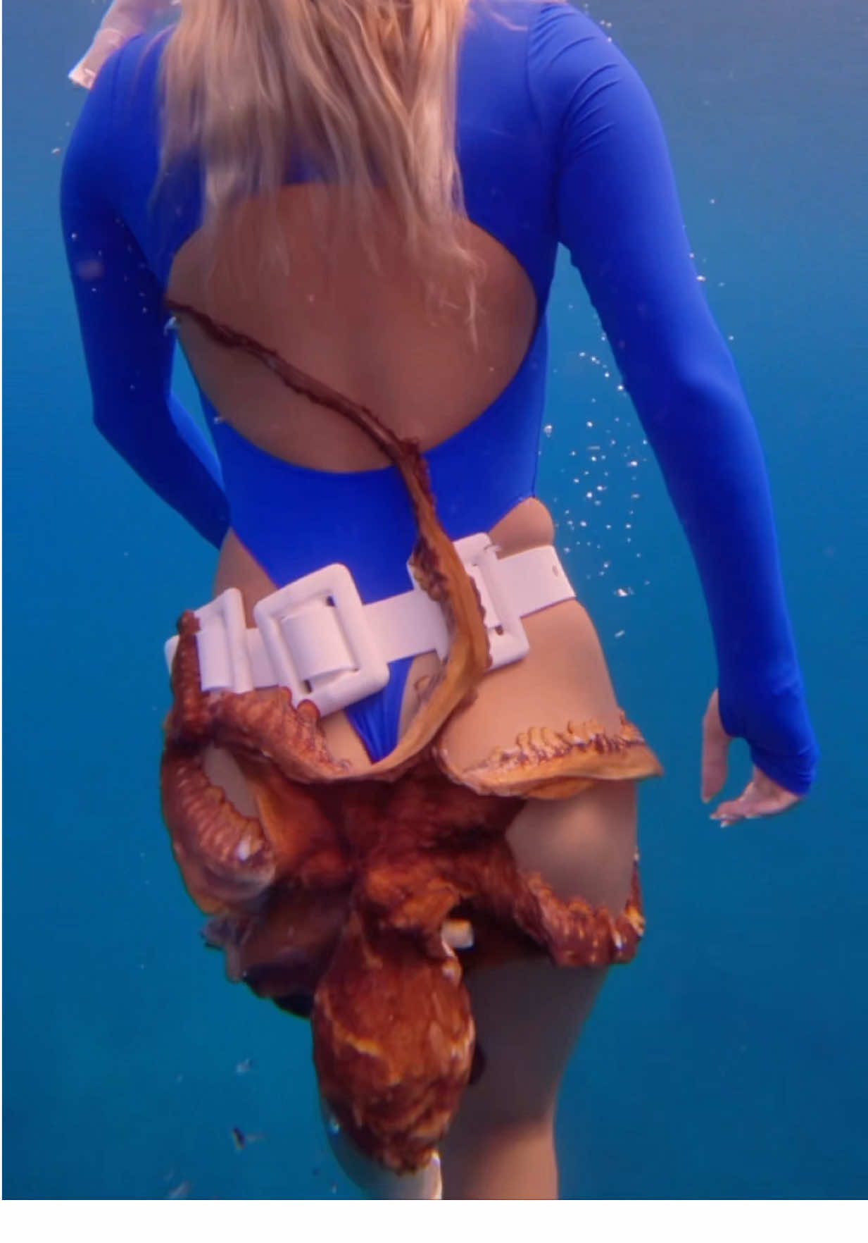 Octopus suckers are wild… they can feel AND taste at the same time !! 🐙 #marinelife #octopus #freedive #oceanfacts #underwater 