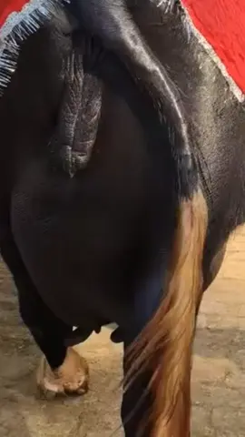 Mashallah g Q ni #🔥🔥🔥 #tiktok #loveyou #draftvideo #videoviral 