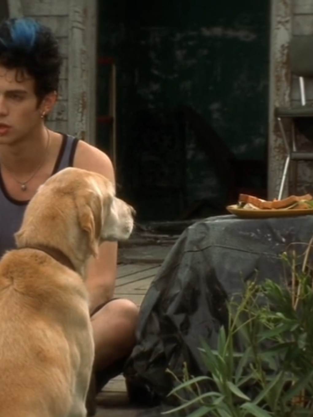 @/4ChAo$  #fyp #foryou #lifeasahouse 