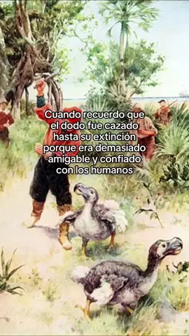Una lección desgarradora de la historia 💔 El dodo fue descrito como un pájaro amigable y curioso, sin miedo natural a los humanos. Trágicamente, esta confianza condujo directamente a su extinción. Descubierto alrededor de 1598, desapareció por completo en 1662, exterminado en menos de 100 años. Un triste recordatorio del impacto que podemos tener. ¿Qué crees que podemos aprender de la historia del dodo? Comparte tu opinión en los comentarios. ⬇️ #dodo #Extinción #ConservaciónDeVidaSilvestre #SiempreVerde #ProtejamosNuestroPlaneta  