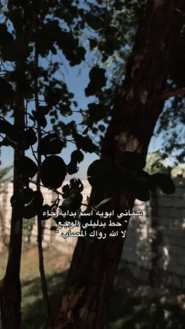 #creatorsearchinsights #creatorsearchinsights #creatorsearchinsights 