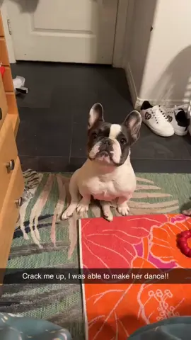 Lola The Dancing Queen loves to dance! But had no idea that I could get her to dance by copying her dance moves when she looked at me! She knew exactly what to do! #frenchiesoftiktok #dancingdogchallenge #dancingtothebeat #dancingislife #mytherapy 