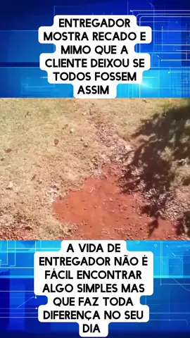 #noticias #ultimasnoticias #news #noticiastiktok #Noticia