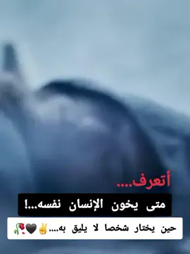 #إقتباسات #أقوال_وحكم #عبارات #خواطر #أكسبلور🌿🌿🌿💖💖🌿🌿🌿💖💖🌿🌿🌿💖💖🌿🌿🌿🥀🥀 