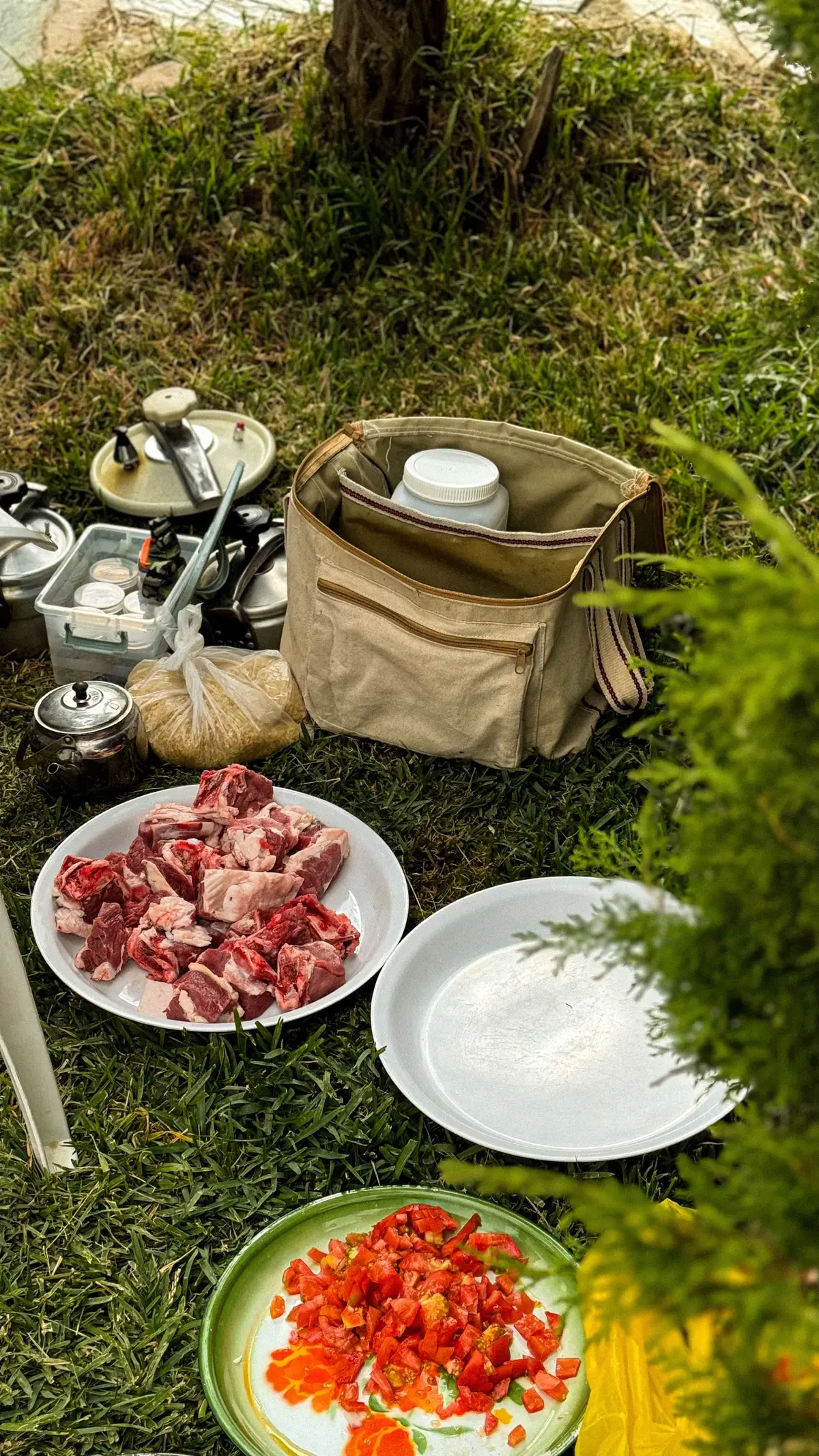 #explore  #foryou #albaha #الباحة 