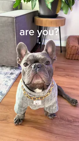 Before we continue…