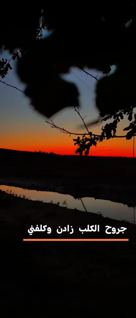 مجرد_____ذوووق❤️#محمود الحياني جروح الكلب تصويري📷 #تصميم_فيديوهات🎶🎤🎬 #تصويري_احترافي_الاجواء👌🏻🕊😴 