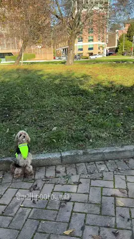 Mi è sembrato? O no?