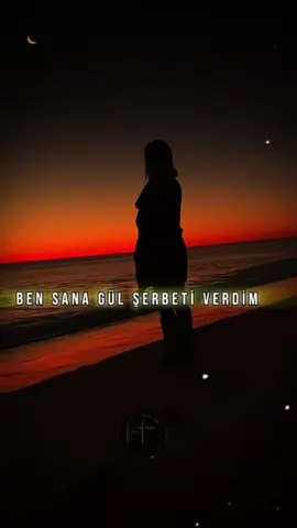 #CapCut #serserigönül #fulyaertam #güneyakgül 