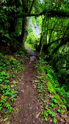 #paratiiiiiiiiiiiiiiiiiiiiiiiiiiiiiii #paz #ftypシ #nature #reflexion 