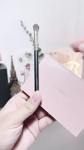 🎀🍃 #อายแชโดว์ #carslan #ทาตา #ป้ายยาtiktok #เอาขึ้นหน้าฟีดที 