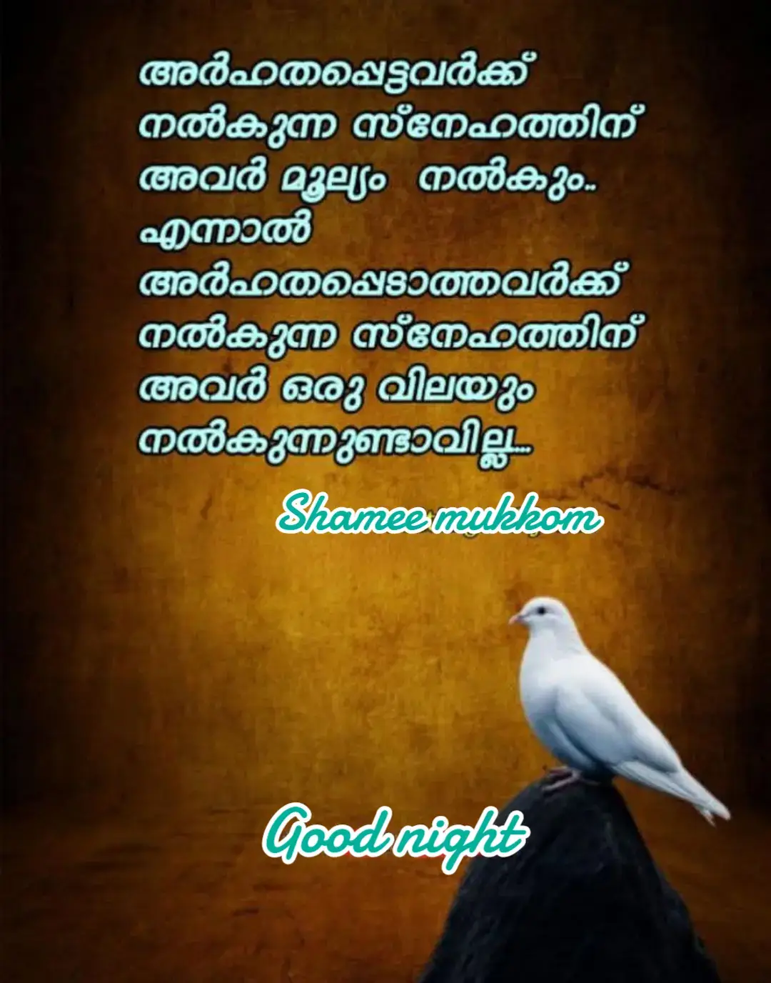 #malayalamtiktok 