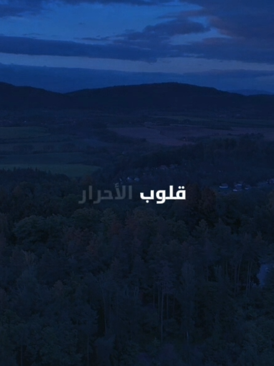 ذكريات 🥹// الحماة الابطال #سبيستون #fyp #foryoupage #anime #viral 