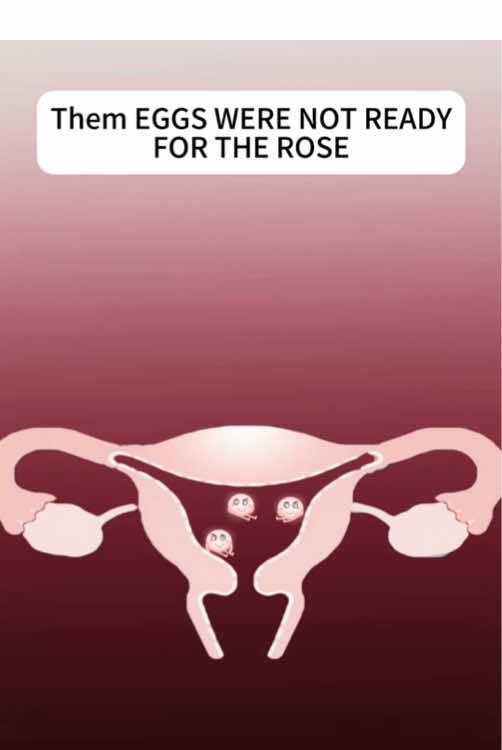 My ovaries said ‘nah we’re on strike for the uterus🤣🤣🤣🤣🤣#anime #fyp #tiktok #animation 