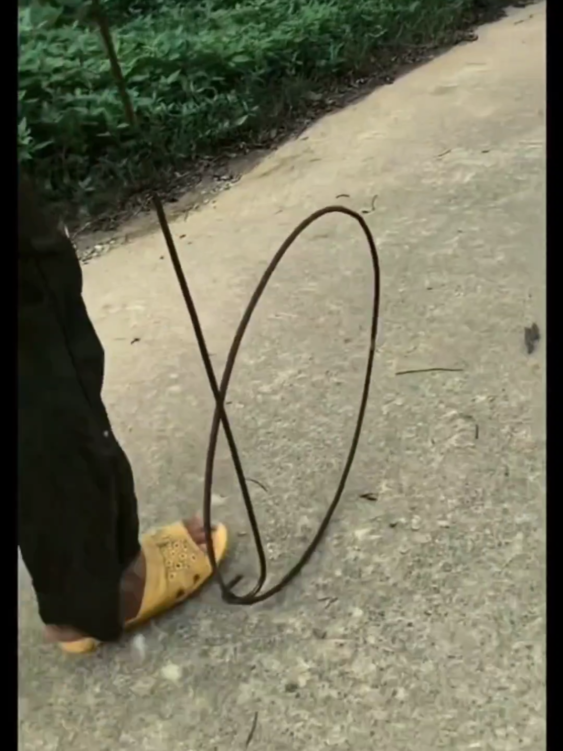 #جيل_الطيبين #زمان_الطيبين #tuoitho #الجيل_الذهبي #الجيل_الذهبي_الجزائري_1970_80_90 @الاخــــــضر @الاخــــــضر @الاخــــــضر 