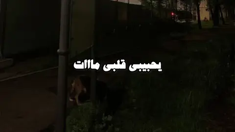 والبعد سبب جنوني💔❤️‍🩹#اكسبلورexplore #مصمم_فيديوهات🎬🎵 #parati #nigeria #يوم_هواك_عني_غاب💔💔🥺 