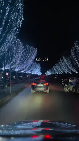 #fyp #foryou #viral #zahle #🇱🇧 