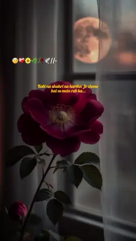 Dear tiktok team don't under review my video  🥺❤️‍🩹🥀🌼🌹✨ #peerajmalrazaqadri #islamic_video #viralaccount #500k #islamic_media 