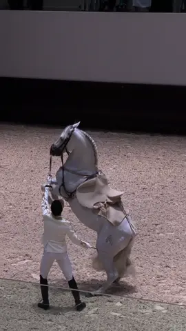 أبوظبي للفنون الفروسية الأميرية ADREA 🎠🩶 #abudhabi #ADREA 